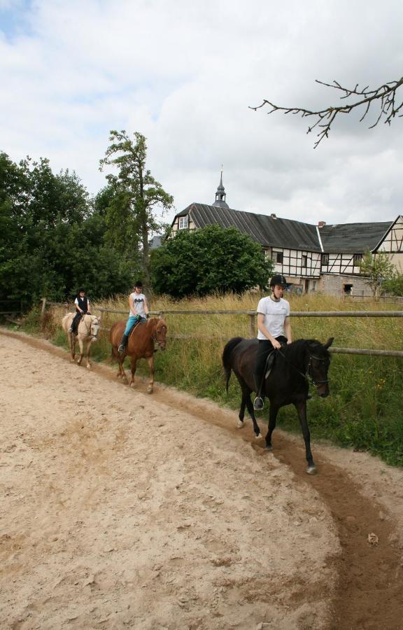 Pferd - Spass - Entspannung Staitz Экстерьер фото